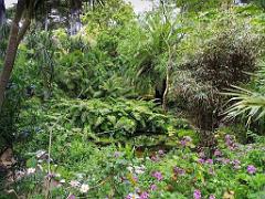 130 Ile de Batz Jardin Georges Delaselle_000025